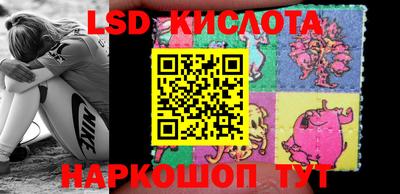 дмт Бийск