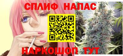 дмт Бийск