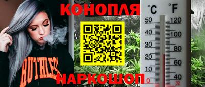 дмт Бийск