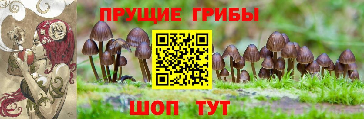 Псилоцибиновые грибы мухоморы Звенигород
